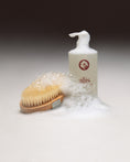 Load image into Gallery viewer, Soothing Body & Hand Wash Gel

